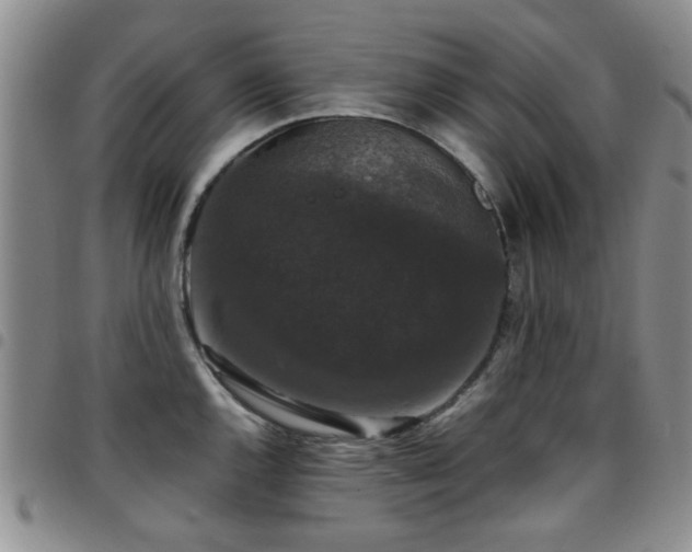 X0000097821144200803141135