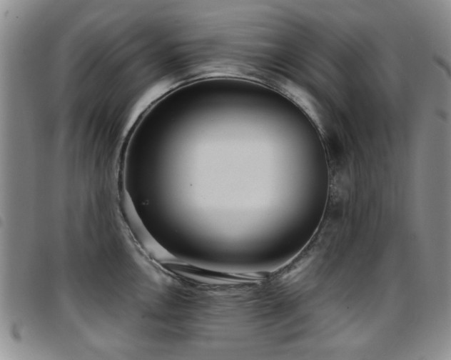 X0000097821146200803141135