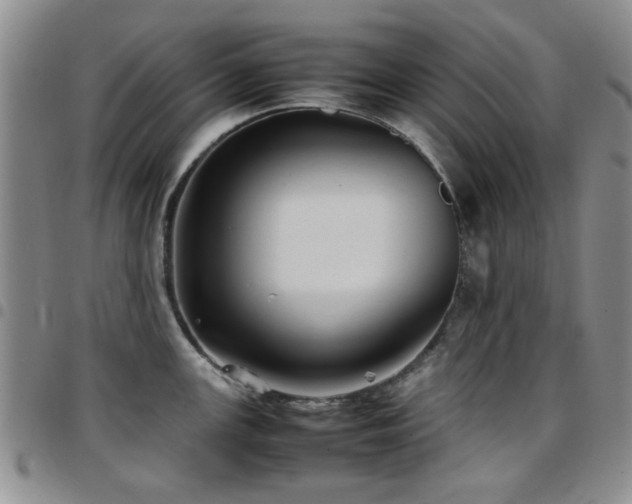 X0000097821147200803141135