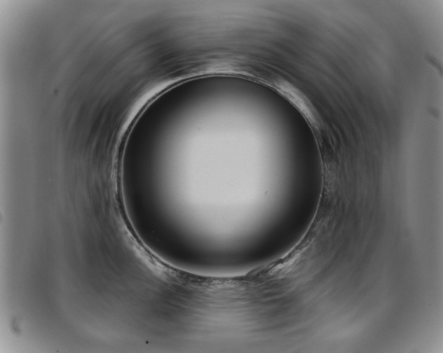 X0000097821148200803141135