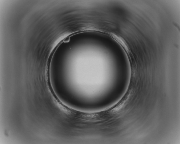 X0000097821149200803141135