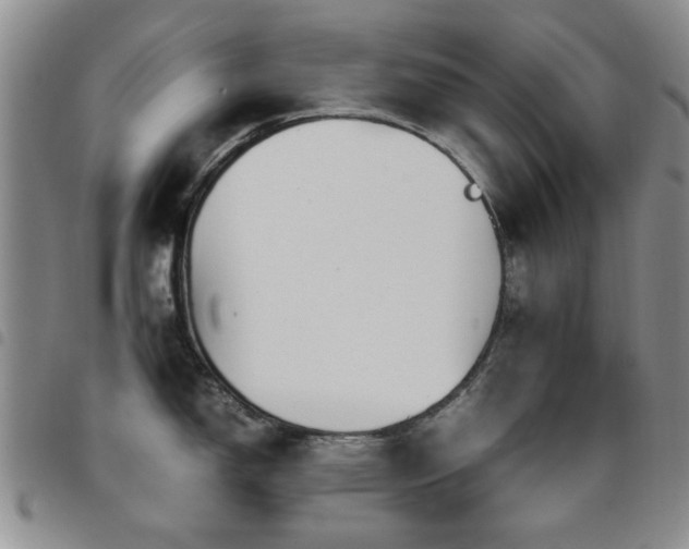 X0000097821150200803141135