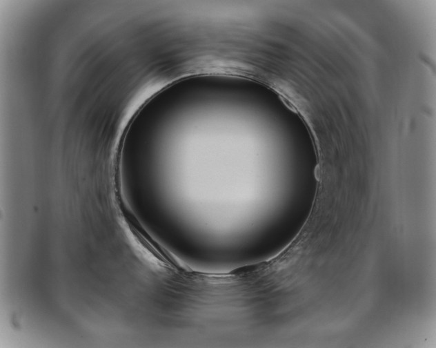 X0000097821152200803141135