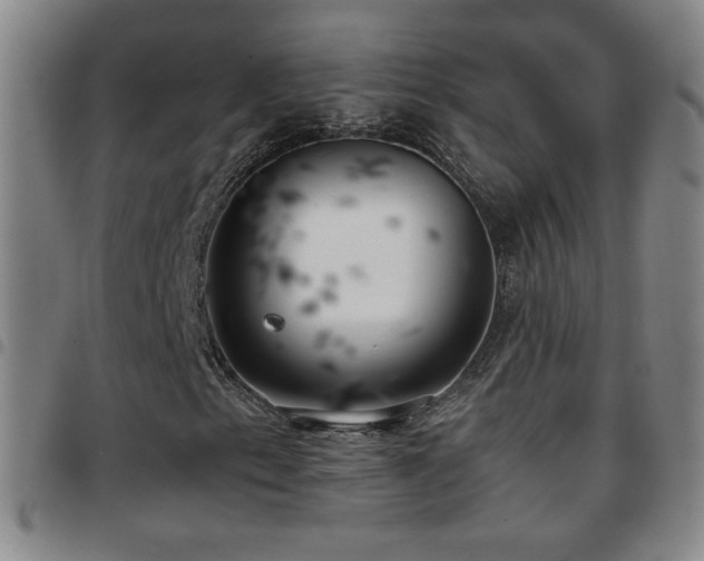 X0000097821153200803141134