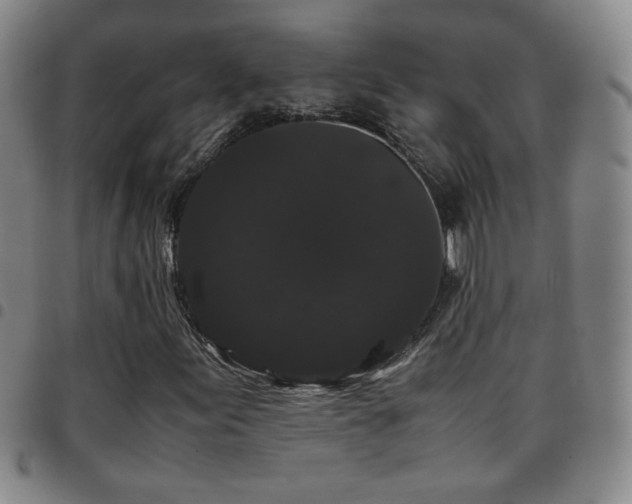 X0000097821155200803141134