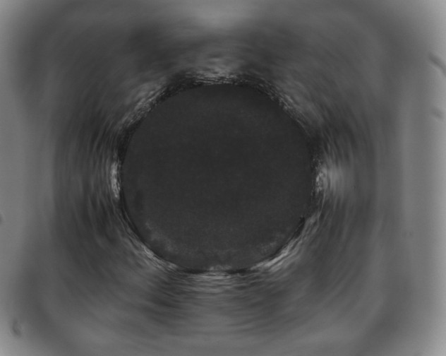 X0000097821156200803141134