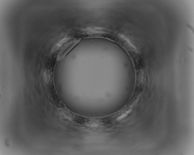 X0000097821157200803141134