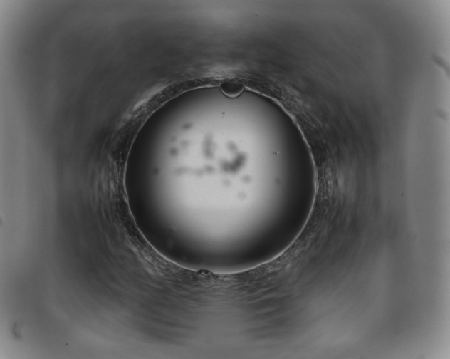 X0000097821158200803141134