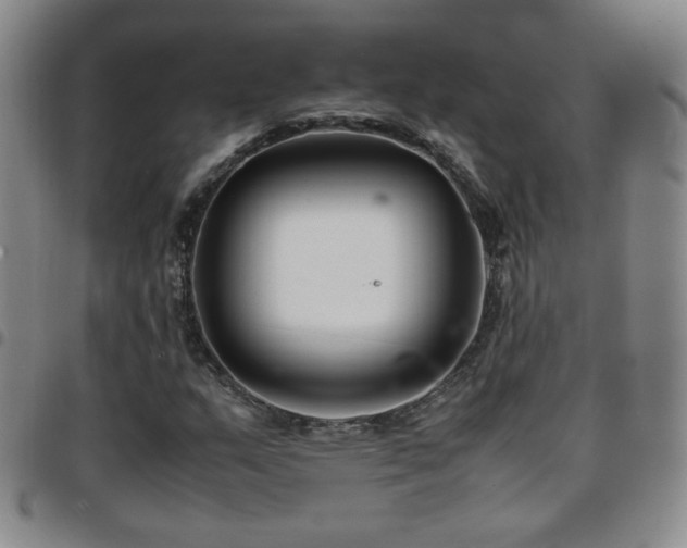 X0000097821159200803141134