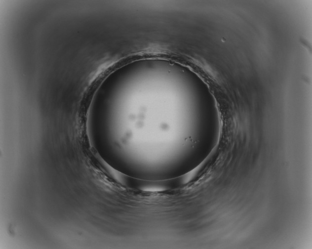 X0000097821160200803141134