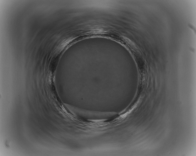 X0000097821161200803141134