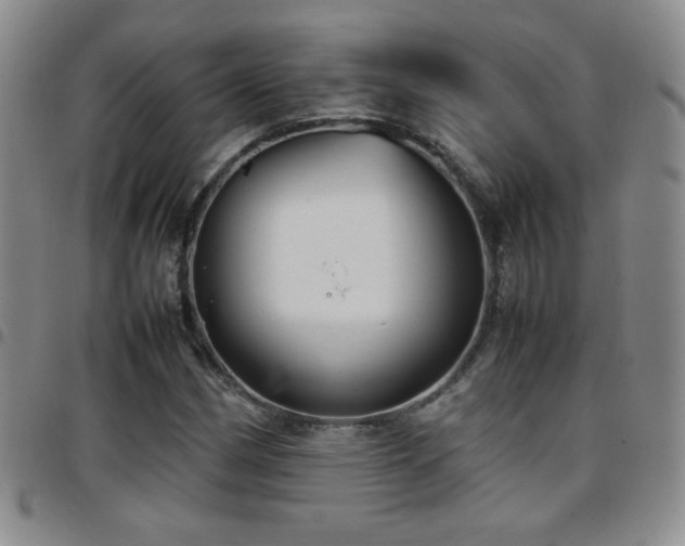 X0000097821162200803141134