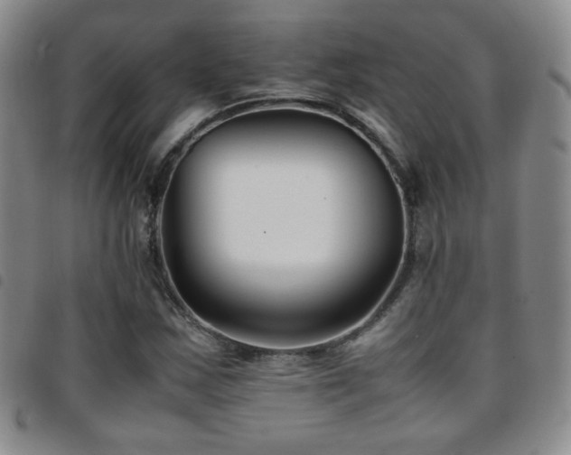 X0000097821163200803141134