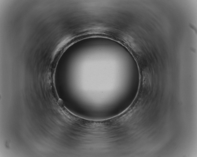 X0000097821164200803141134