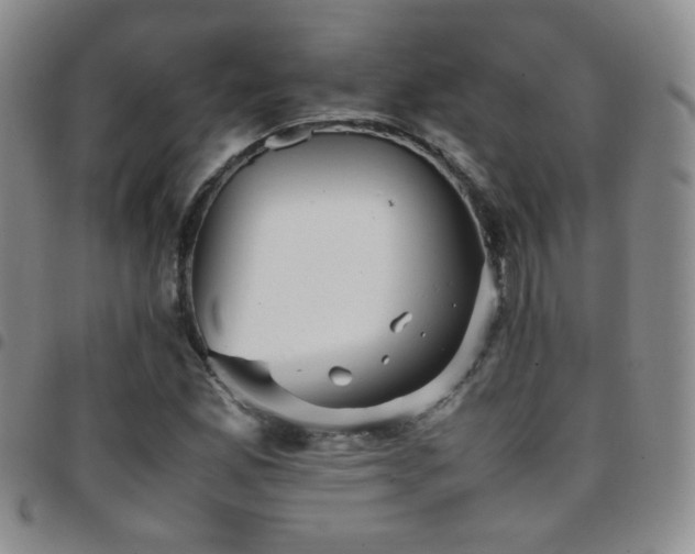 X0000097821165200803141134