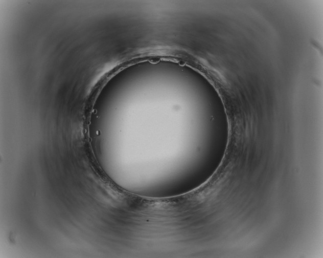 X0000097821166200803141134