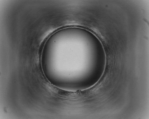 X0000097821167200803141134