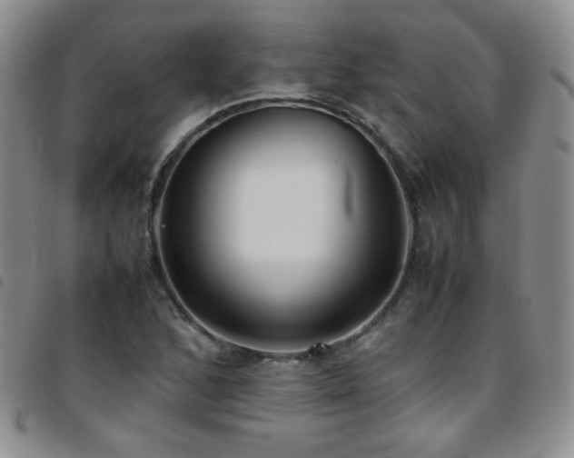 X0000097821168200803141134