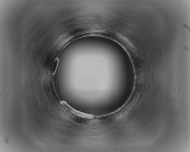 X0000097821169200803141134