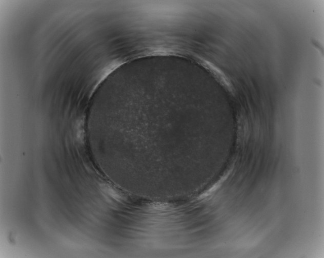 X0000097821170200803141134