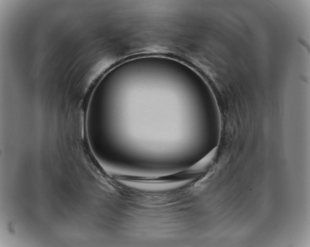 X0000097821171200803141134