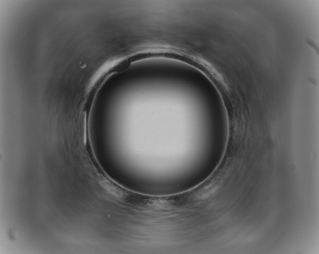 X0000097821175200803141134