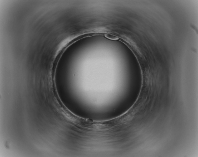 X0000097821176200803141134