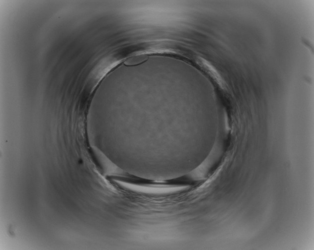 X0000097821177200803141134