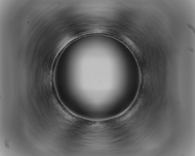 X0000097821178200803141134