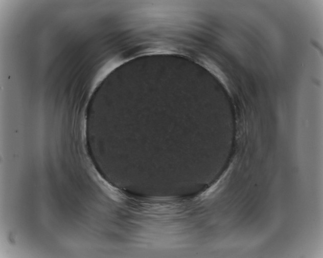 X0000097821179200803141134