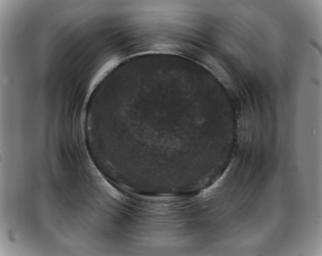 X0000097821180200803141134