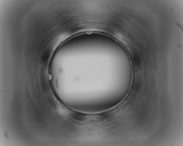 X0000097821181200803141134