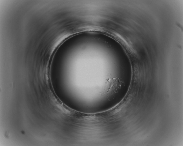 X0000097821182200803141134