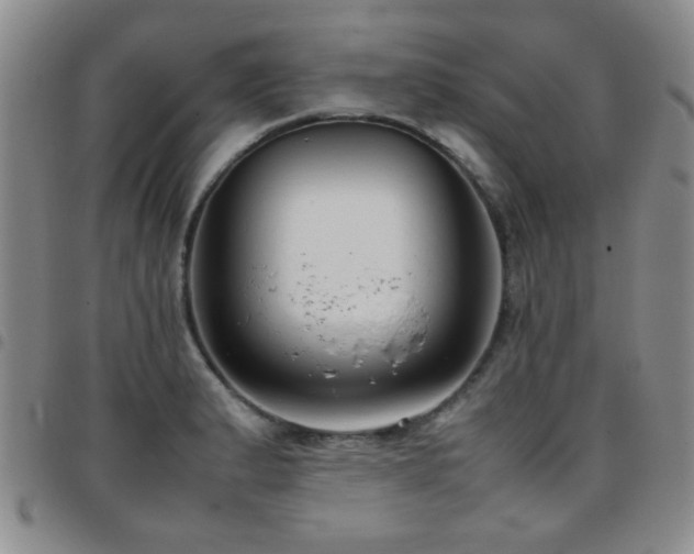 X0000097821183200803141134