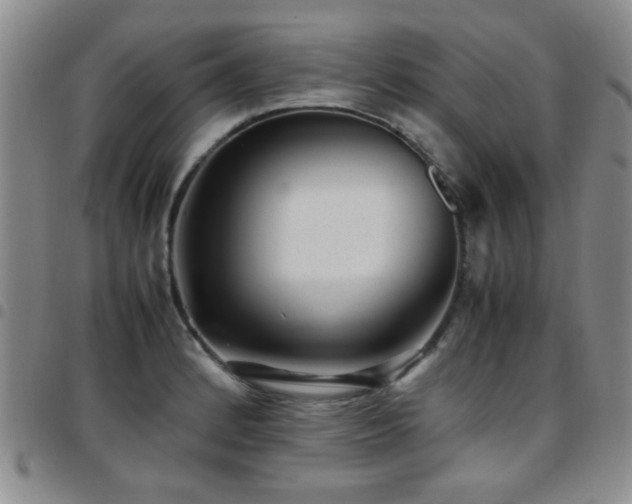 X0000097821184200803141134