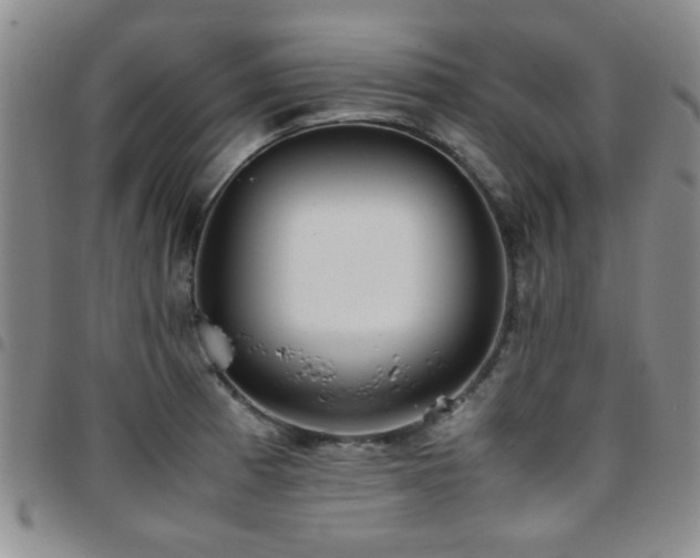 X0000097821185200803141134