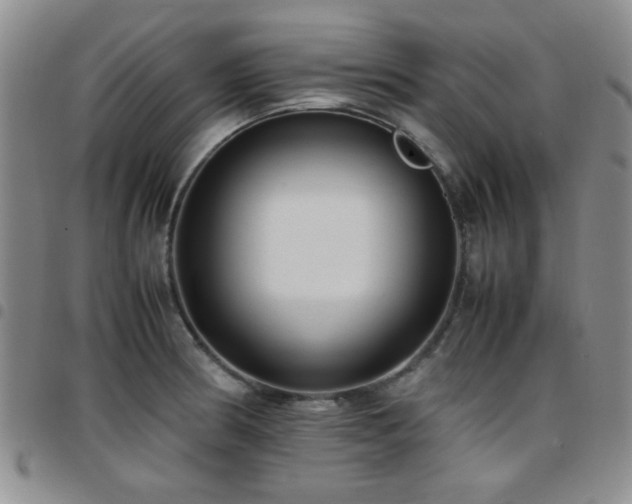 X0000097821186200803141134