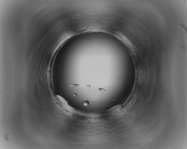 X0000097821190200803141133