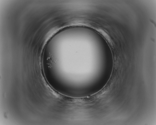 X0000097821191200803141133