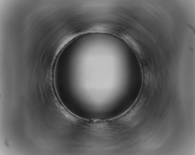 X0000097821192200803141133