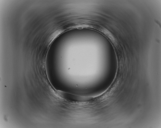 X0000097821193200803141133