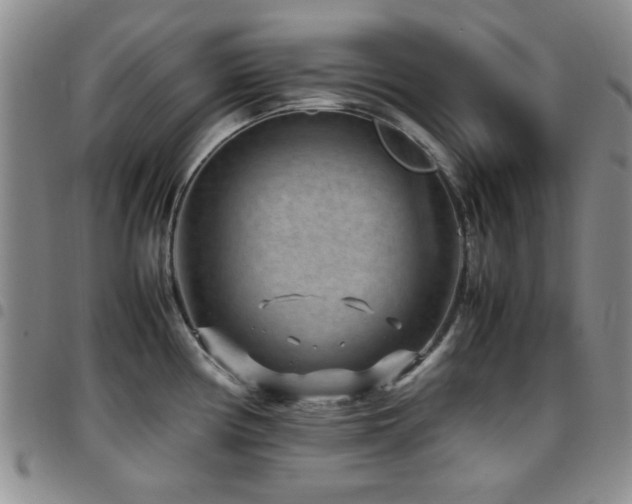 X0000097821194200803141133