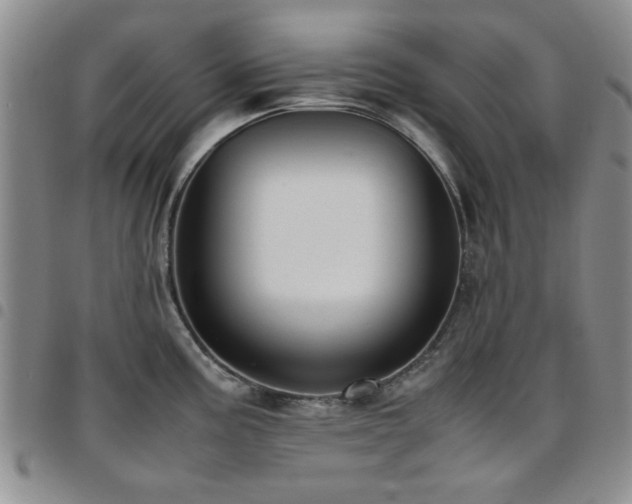 X0000097821195200803141133