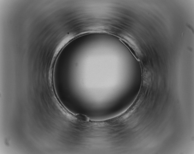 X0000097821196200803141133