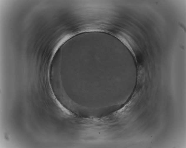 X0000097821197200803141133