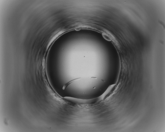 X0000097821198200803141133