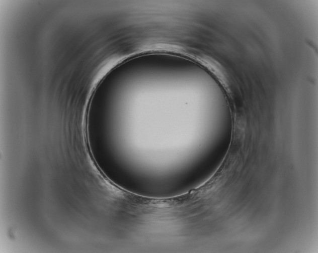 X0000097821199200803141133