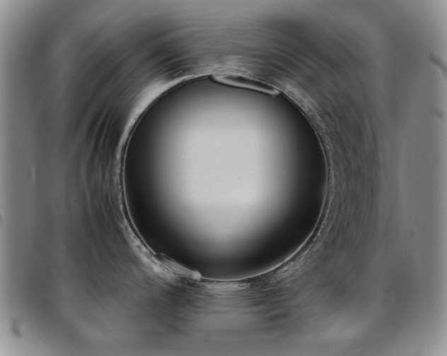 X0000097821200200803141133