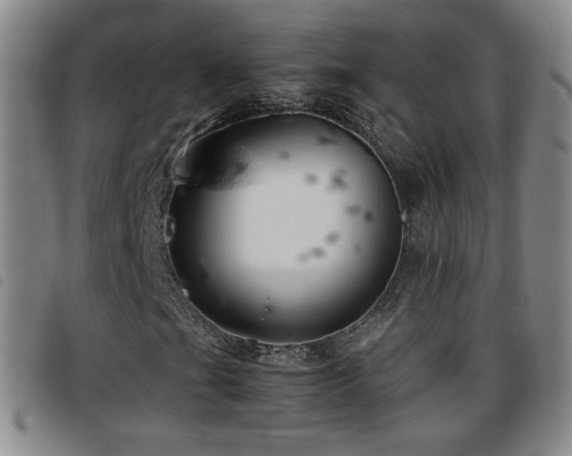 X0000097821201200803141133