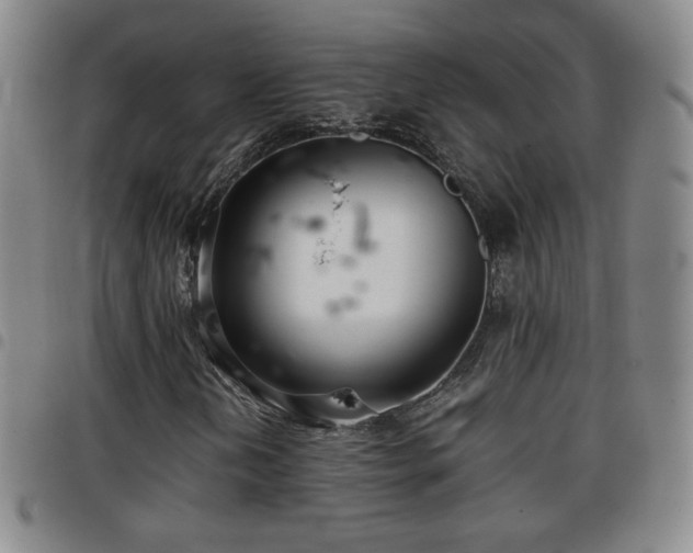 X0000097821202200803141133